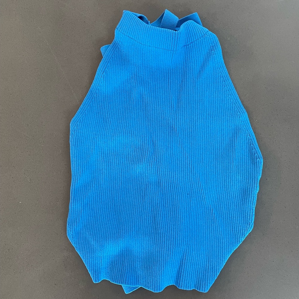 Zara Open Back Tie Halter Top